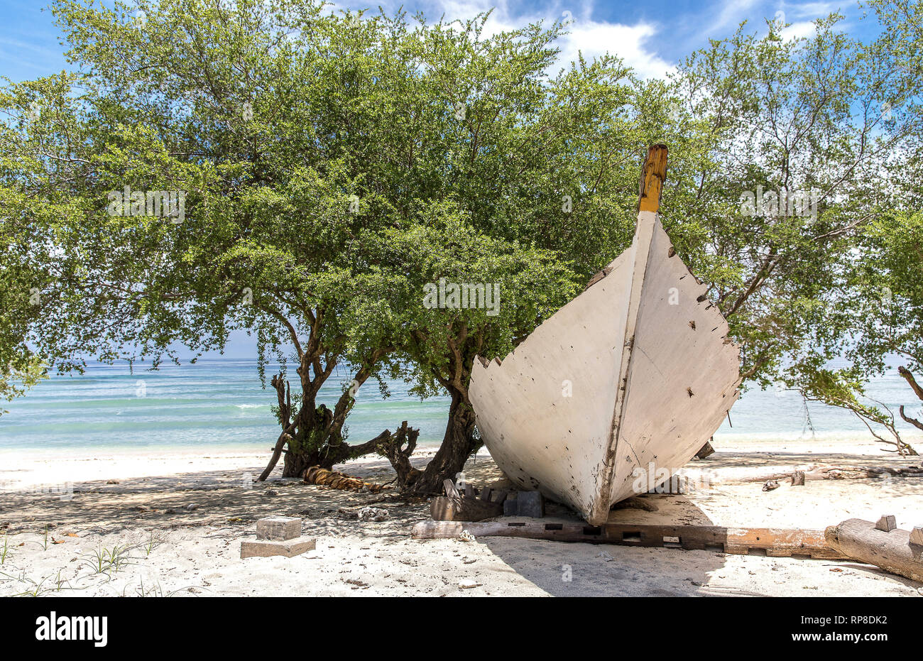 L'Indonésie, l'ancien bateau blanc sur le front de mer sur l'île de Gili Trawangan et le dragon-comme l'arbre. Banque D'Images