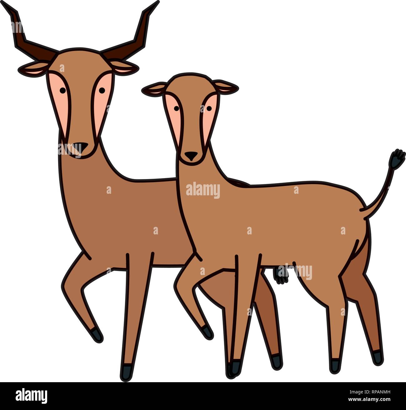 Les antilopes sauvages africains deux caractères vector illustration design Illustration de Vecteur