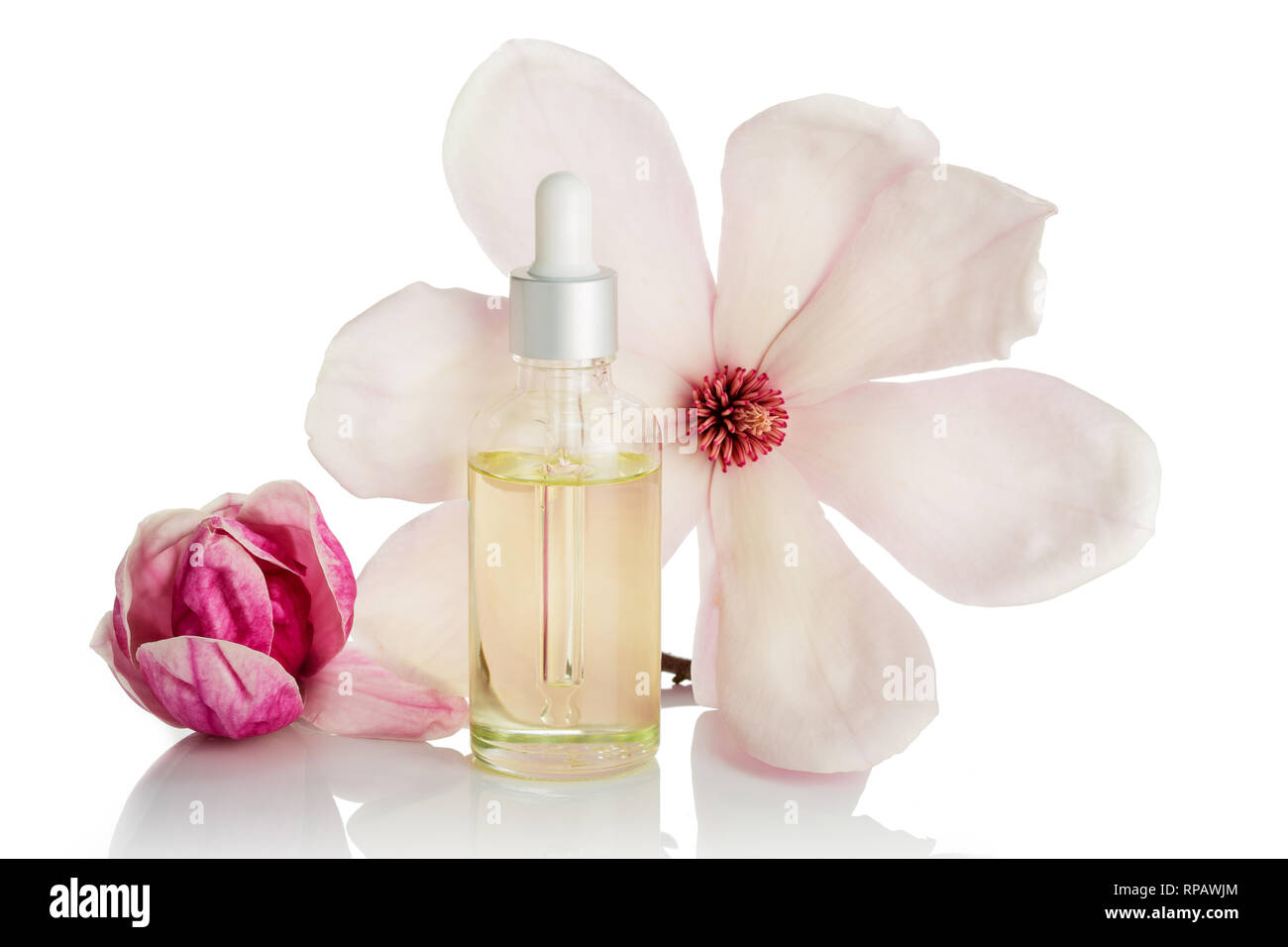 L'huile essentielle de Magnolia Banque D'Images