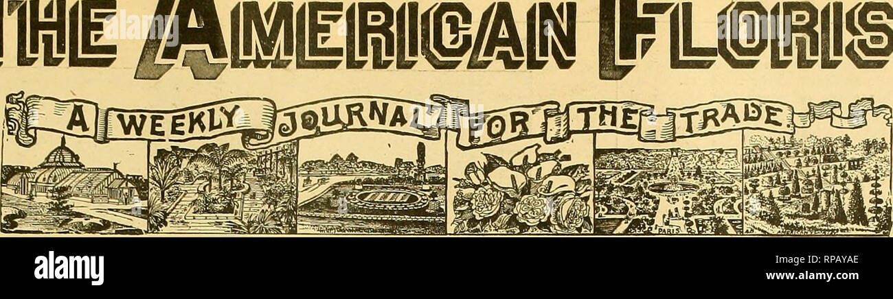 . La fleuriste américain : un journal hebdomadaire pour le commerce. La floriculture ; fleuristes. MmETica est "tbs proue de l'UbsseI : il y a peut-il ? Plus camfart Umidships, mais u/b sont la première ta iaunh des mers inconnues," /o/. ////. CHICAGO ET MEW YORK, 12 janvier 1893. No 241 f LHili /4yiill !@/^ publié chaque jeudi par la société américaine un fleuriste. L'article 1.00, l'abonnement d'un an. À l'Europe, S2.00. Traiter tous les conimuiiicatioiis à fleuriste, société américaine 333 Dearborn Street, Chicago. Société des fleuristes américains. Stewart. 67 Bromfleld St.. Boston, Mass, secretarj" : M. A. HUNT. Terre Haute, Ind.. tre Banque D'Images