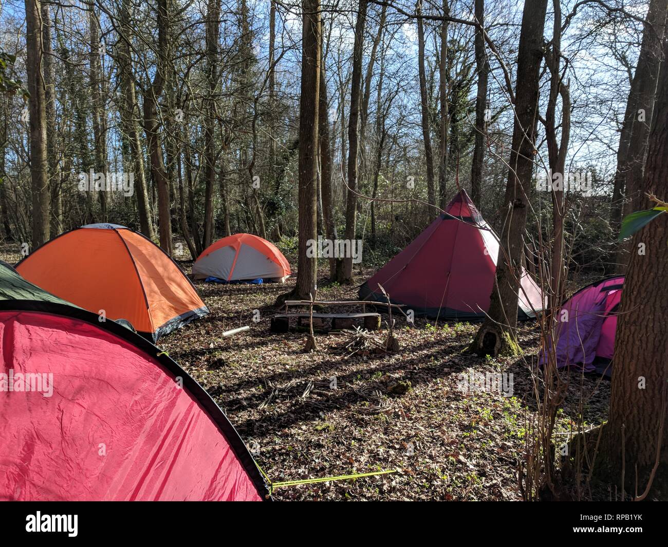 Camping Woodland Banque D'Images