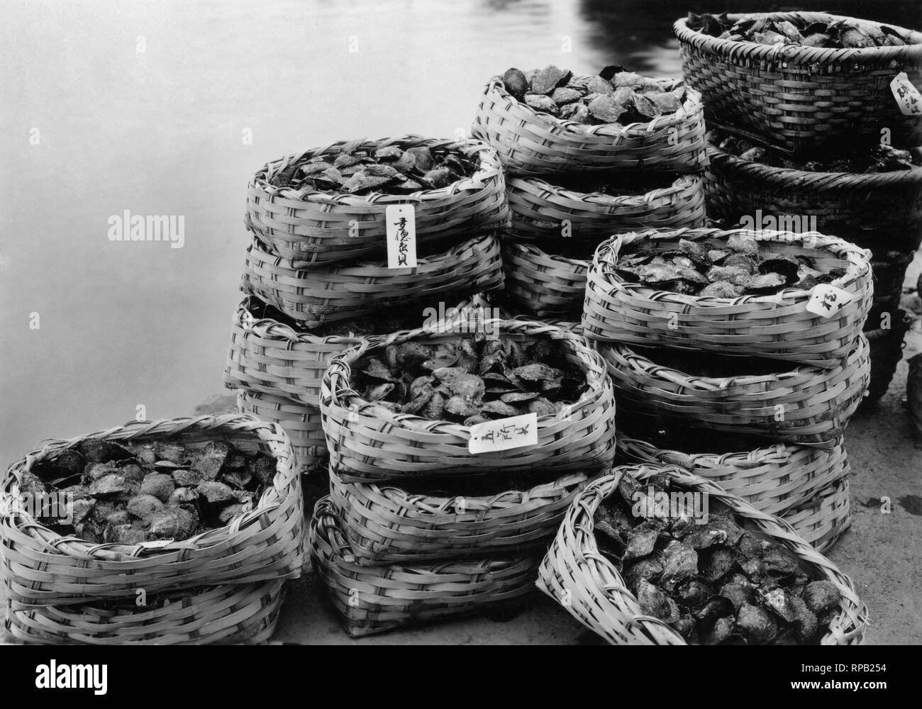 Le Japon, les paniers d'huîtres pearl, 1920-30 Banque D'Images