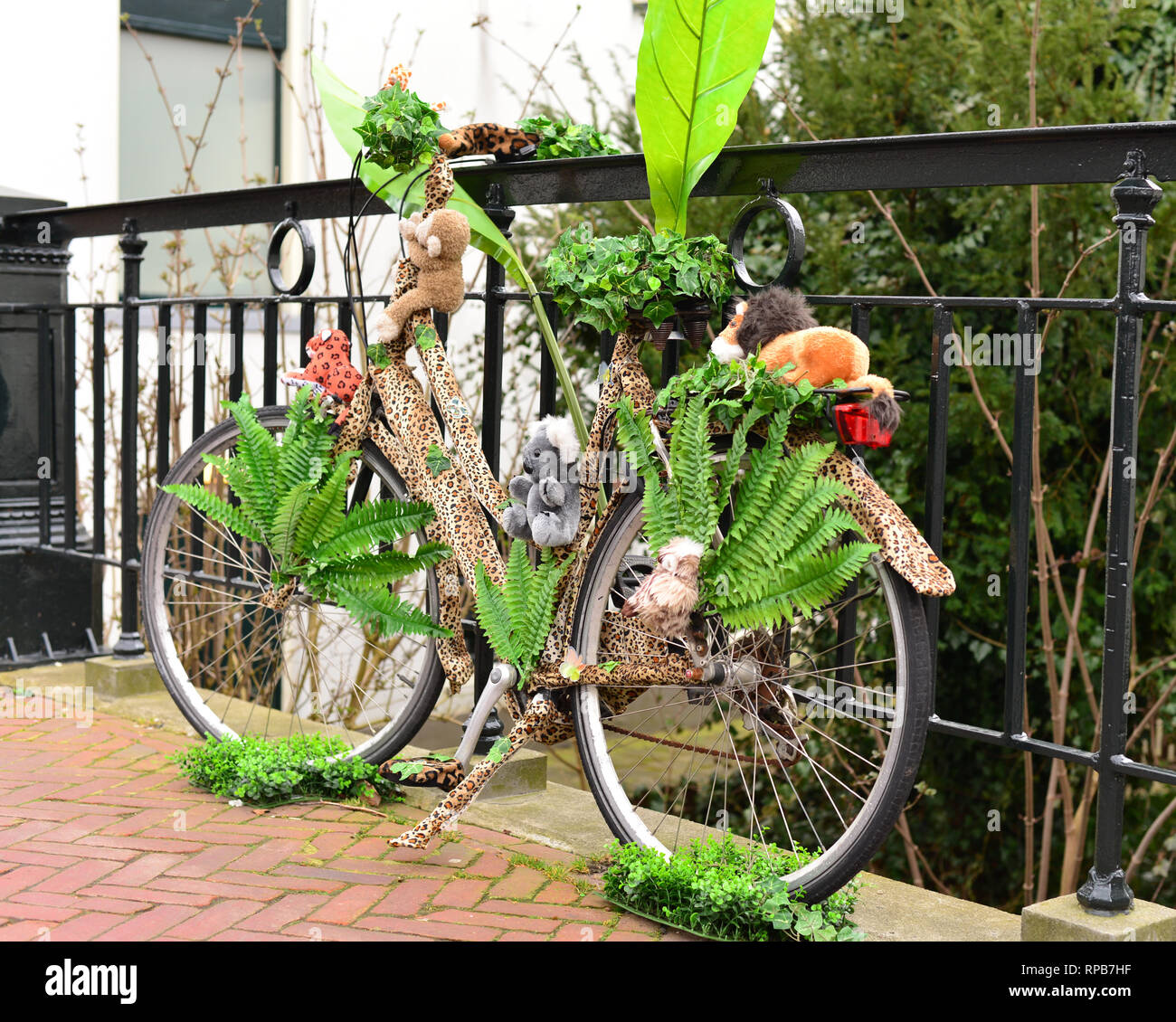 Vintage bicyclette verte avec des plantes décoration dans la rue. La Hollande. Banque D'Images