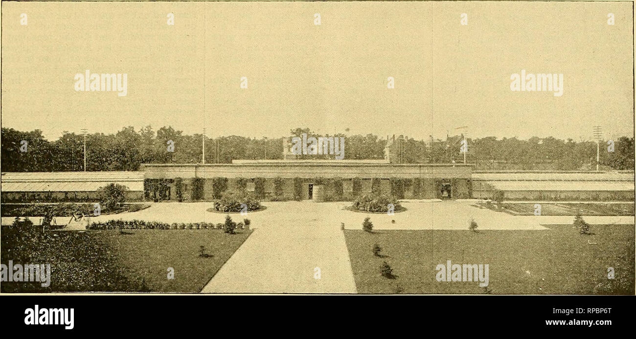 . La fleuriste américain : un journal hebdomadaire pour le commerce. La floriculture ; fleuristes. lS^2. L'American Fleuriste. M. SERRES À LA WORLD'S COLUMBIAN EXPOSITION. Une rose chaud et de cramoisi ; sur l'ouverture avec sont parsemées dans un vieux rose et bronze, Hue, large lèvre de substance veloutée et sa robe d'améthyste. Très bon pour une plante qu'à 2 ans. Cat- tleya ou Sanderiana Warscewiczii, ayant deux pointes contenant chacune huit fleurs, très grands sépales et pétales blanc violacé, cramoisie de la SPLI. Bow- ringeana Cattleya, ayant sept épis de fleurs contenant 59 fleurs d'un pourpre profond, abou Banque D'Images