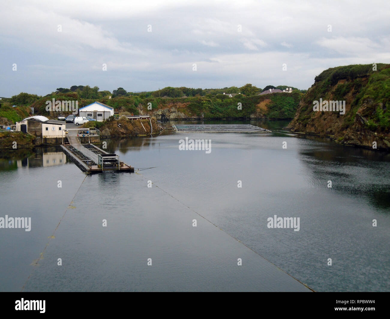 Guernesey Sea Farms Shell croissante des poissons dans une ancienne carrière de le sentier du littoral sur la côte nord-est de Guernsey, Channel Islands.UK. Banque D'Images