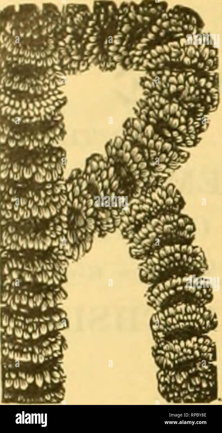 Kkkk Banque D Image Et Photos Alamy