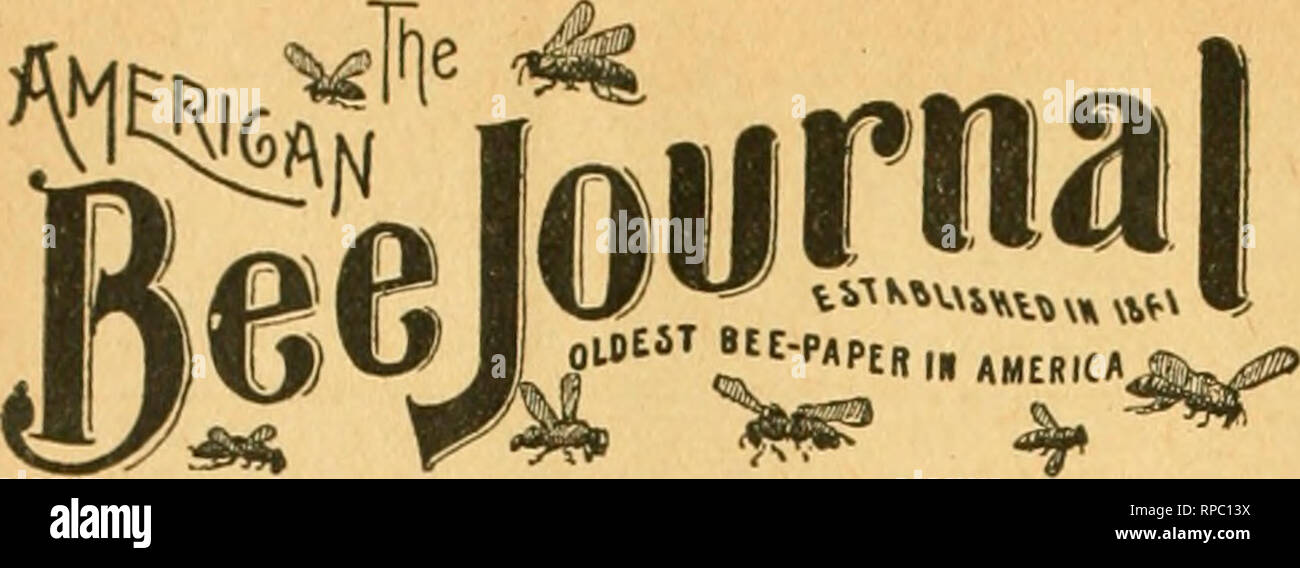 . American Bee Journal. La culture de l'abeille ; les abeilles. 540 L'American Bee Journal. 22 août. Georg-e W. J'ork, - . Éditeur. Publié CHAQUE SEMAINE PAR GEORGE W. YORK &AMP ; société, Fietb - fle Avenue, Chicago, Illinois, 1 $ par année-copie échantillon envoyé gratuitement. (Bntered Posl-Offlce ChlcaKO au à comme Slall-Matter yoLinV Officier.j. CEICA&amp;O, malade, ADG. 22,1895. N° 34. Editorial Budget. Accueil à nouveau.-Après avoir passé une agréable semaine visite des parents et amis de l'Ohio, je suis de retour à nouveau dans le oEBce (Août 17). C'est '.il première vraies vacances J'ai eu en quatre ans. Les correspondants nationaux qui ont l'impression que j'ai été negl Banque D'Images