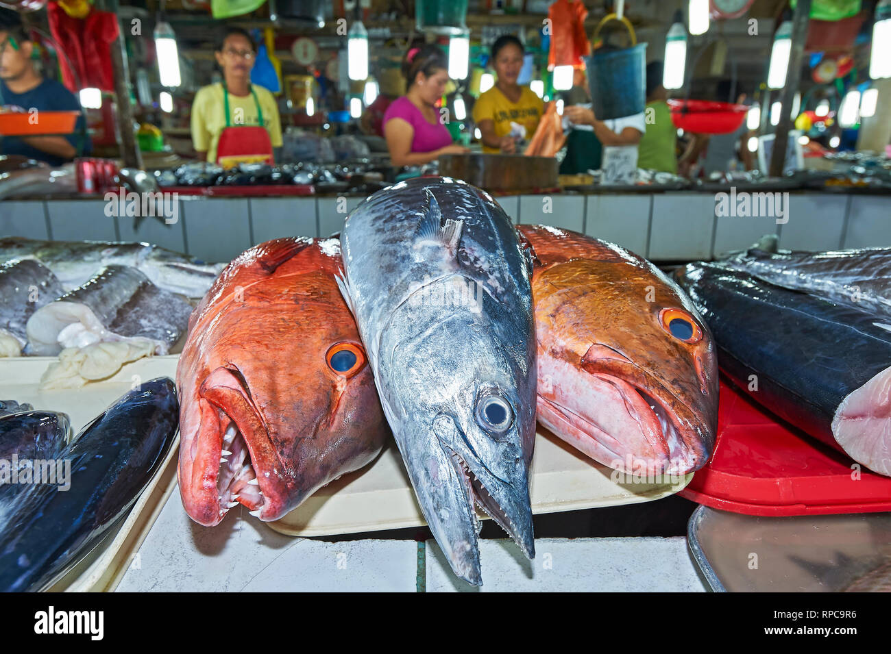 Puerto Princesa City, Palawan, Philippines - Le 24 février 2010 : trois gros poissons de taille moyenne à vendre au marché central, avec des fournisseurs dans l'arrière-plan Banque D'Images Puerto Princesa City, Palawan, Philippines - Le 24 février 2010 : trois gros poissons de taille moyenne à vendre au marché central, avec des fournisseurs dans l'arrière-plan Banque D'Images