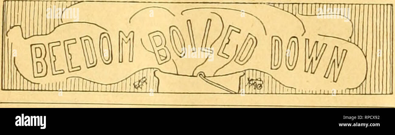 . American Bee Journal. La culture de l'abeille ; les abeilles. 538 L'American Bee Journal. 25 août. prune arbres, 250 pommiers, 70 poiriers, 70 cherry, etc. Mme Dunn dispose de 15 colonies d'abeilles, et elle nous dit que leur "miel de trèfle blanc est le plus délicieux." Nous n'avons pas un doute à ce sujet. M. Thos. La garniture, l'expérimenté anglais jardinier et apiculteur qui a la garde de Mme Dunn's ex- intérêts tensive près de la lointaine Tacoma. M. W. H., Pribgen de Warren Co., N. C, a été appelé "UNE Queenly trompeur." Ce ne sera pas une surprise pour tout qui vois le genre de queens il envoie. W Banque D'Images