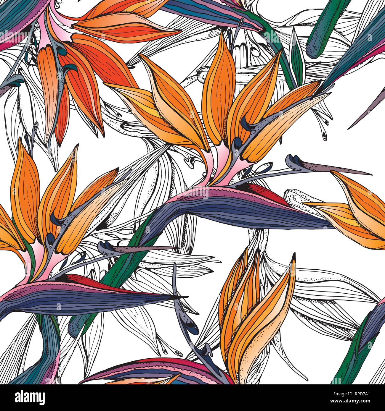 Tropical floral Doodle contexte en scénario avec motif transparent coloré doodles. Fleurs paradis lumineux Illustration de Vecteur