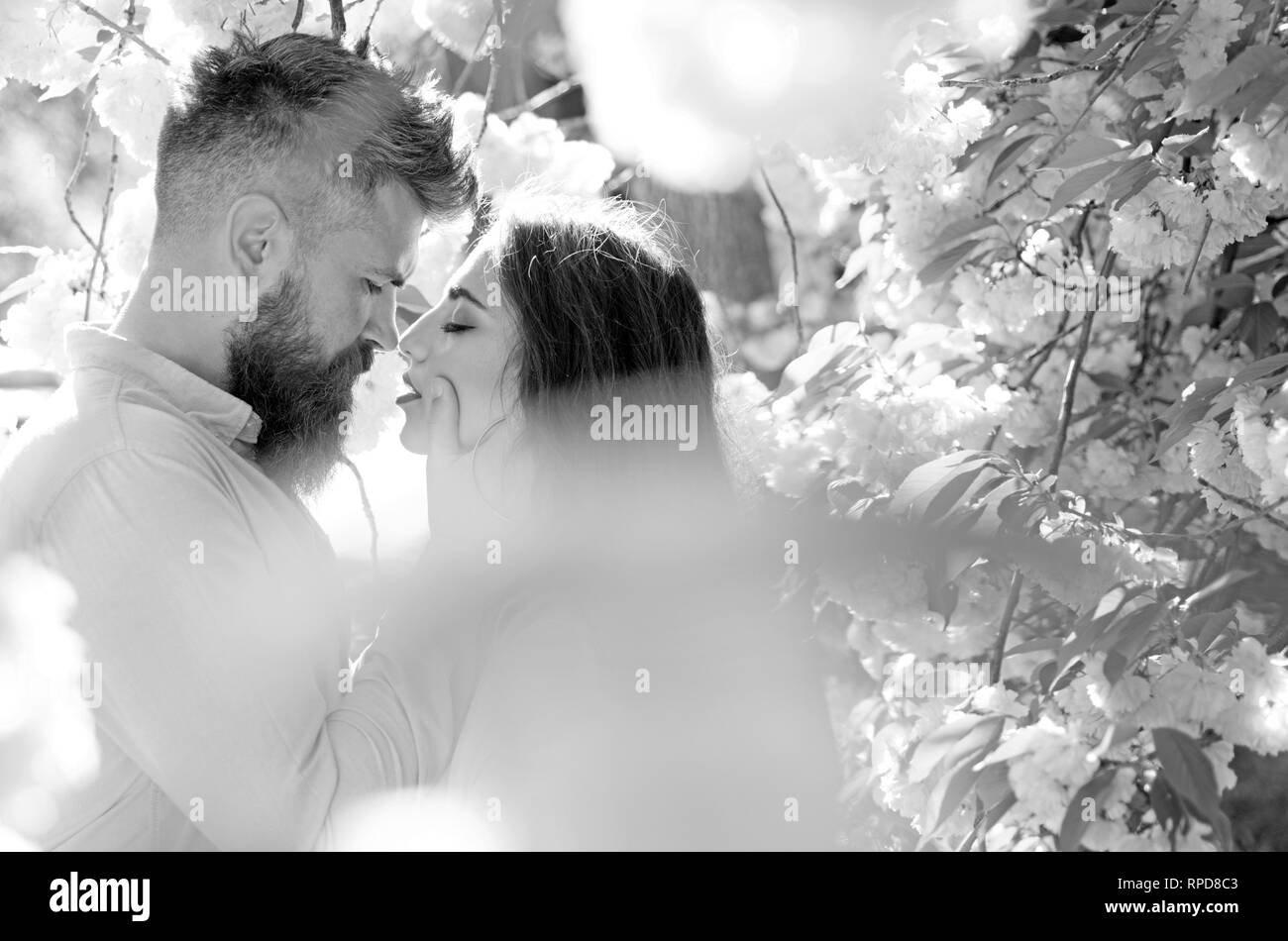 La passion et l'amour gratuit. L'homme et la femme s'embrasser dans le jardin en fleurs sur le printemps. Couple in love passer du temps dans le jardin de printemps, de fleurs sur fond de Banque D'Images