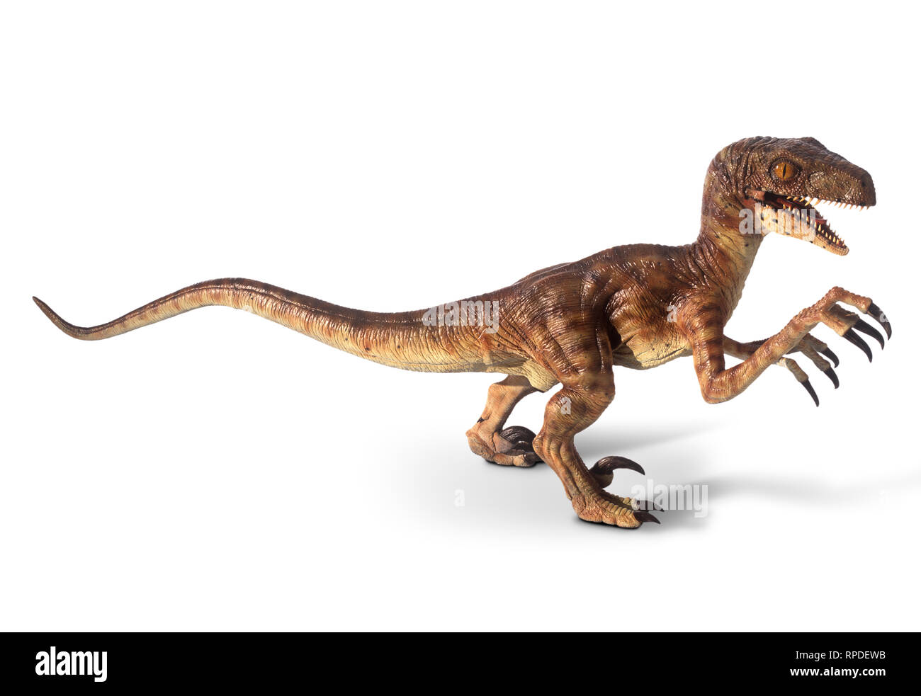 D'un modèle grandeur nature de dinosaures de Jurassic Park pour Disney Pictures du film. Banque D'Images