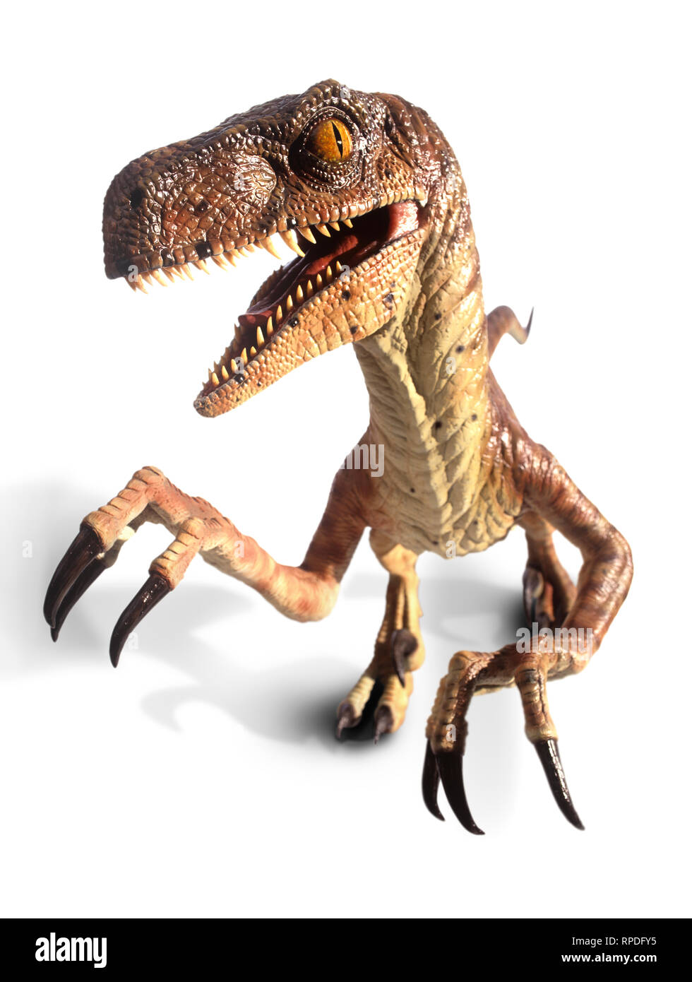 D'un modèle grandeur nature de dinosaures de Jurassic Park pour Disney Pictures du film. Banque D'Images