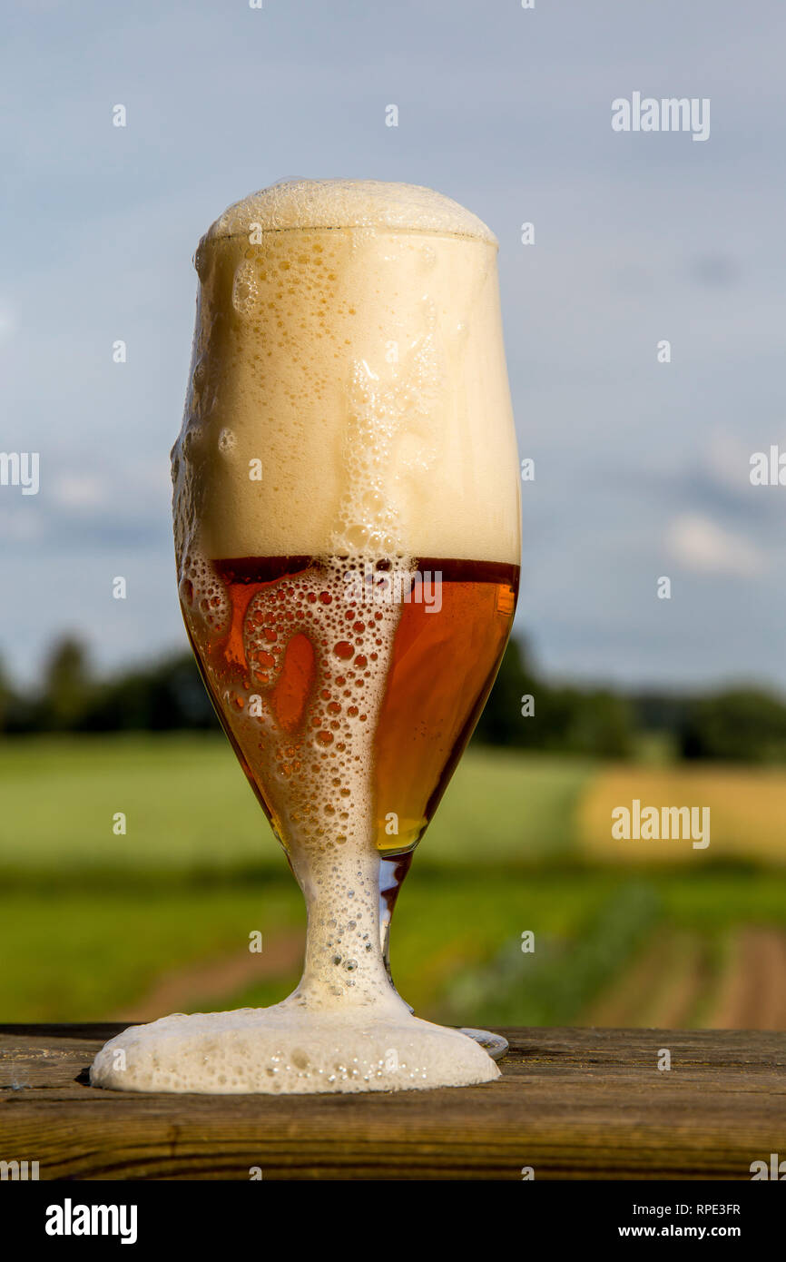 Verre de bière légère de mousse et de bulles sur table en bois sur fond de paysage d'été. La bière est une boisson alcoolisée à base de malt fermenté à la levure et fl Banque D'Images