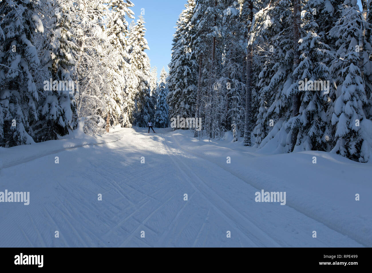 UMEA, Suède Le 11 février 2019. Vue sur pistes de ski de fond à travers un paysage enneigé. Des personnes non identifiées. Usage éditorial. Banque D'Images