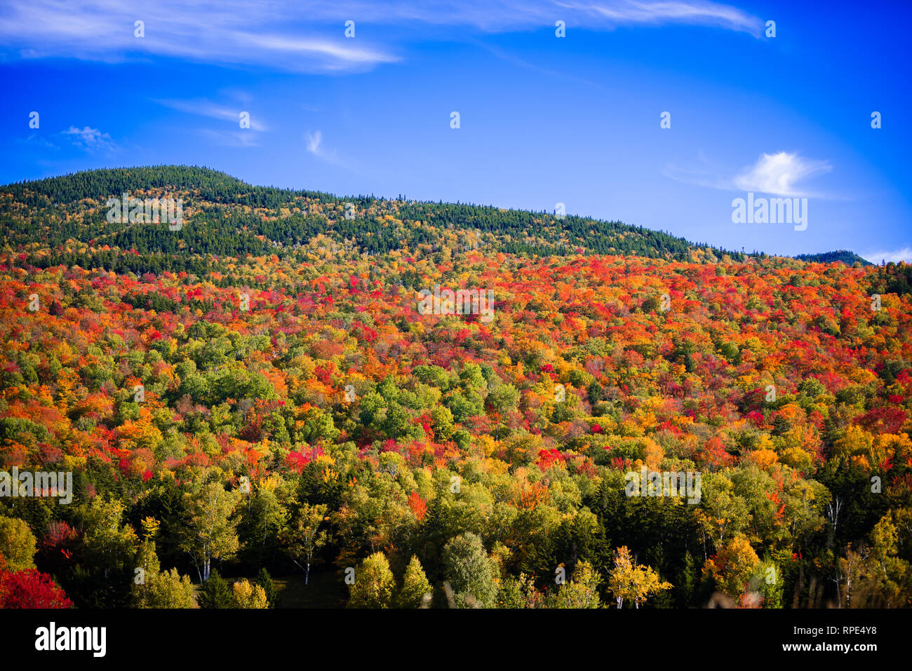 Des couleurs vives vu pendant la haute saison des feuilles à la base de Mt. Washington situé dans les Montagnes Blanches, NH Banque D'Images