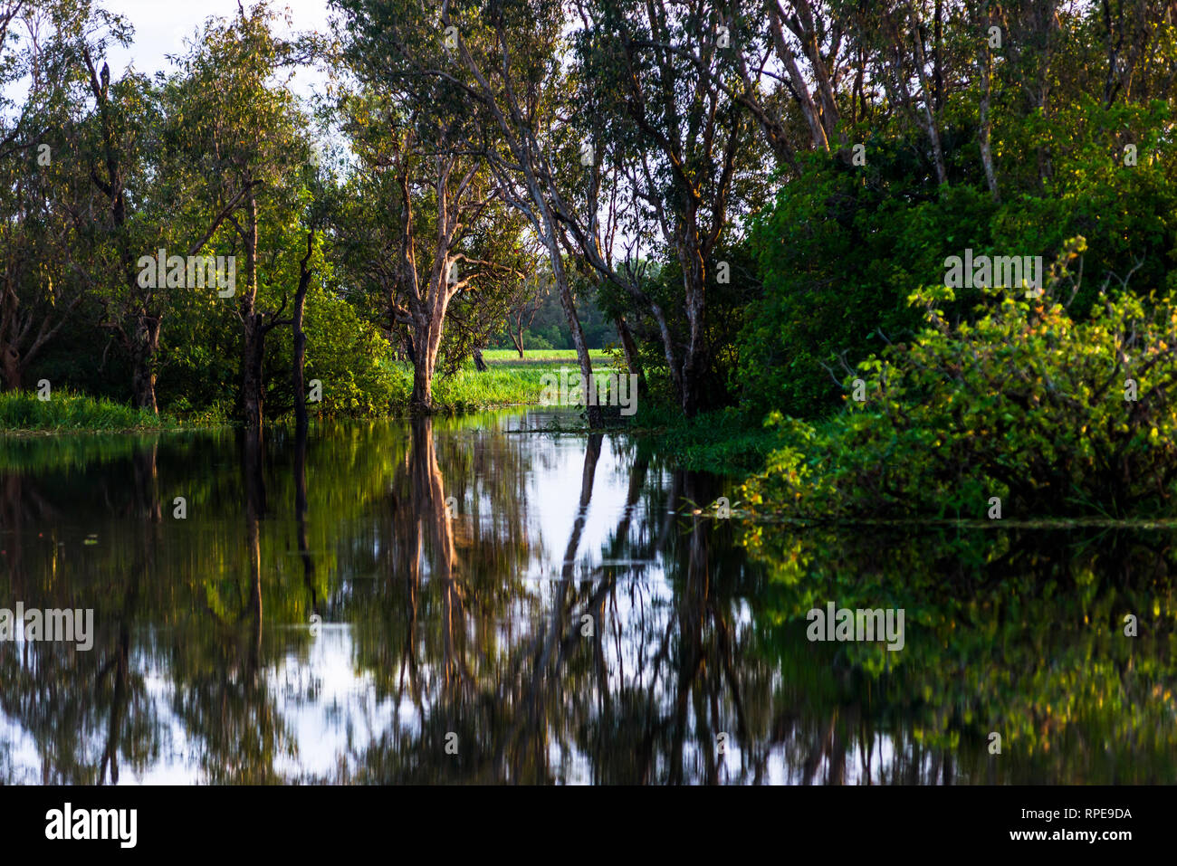 Les terres humides inondées pendant la saison des pluies, le Kakadu National Park, territoire du Nord, Australie. Banque D'Images