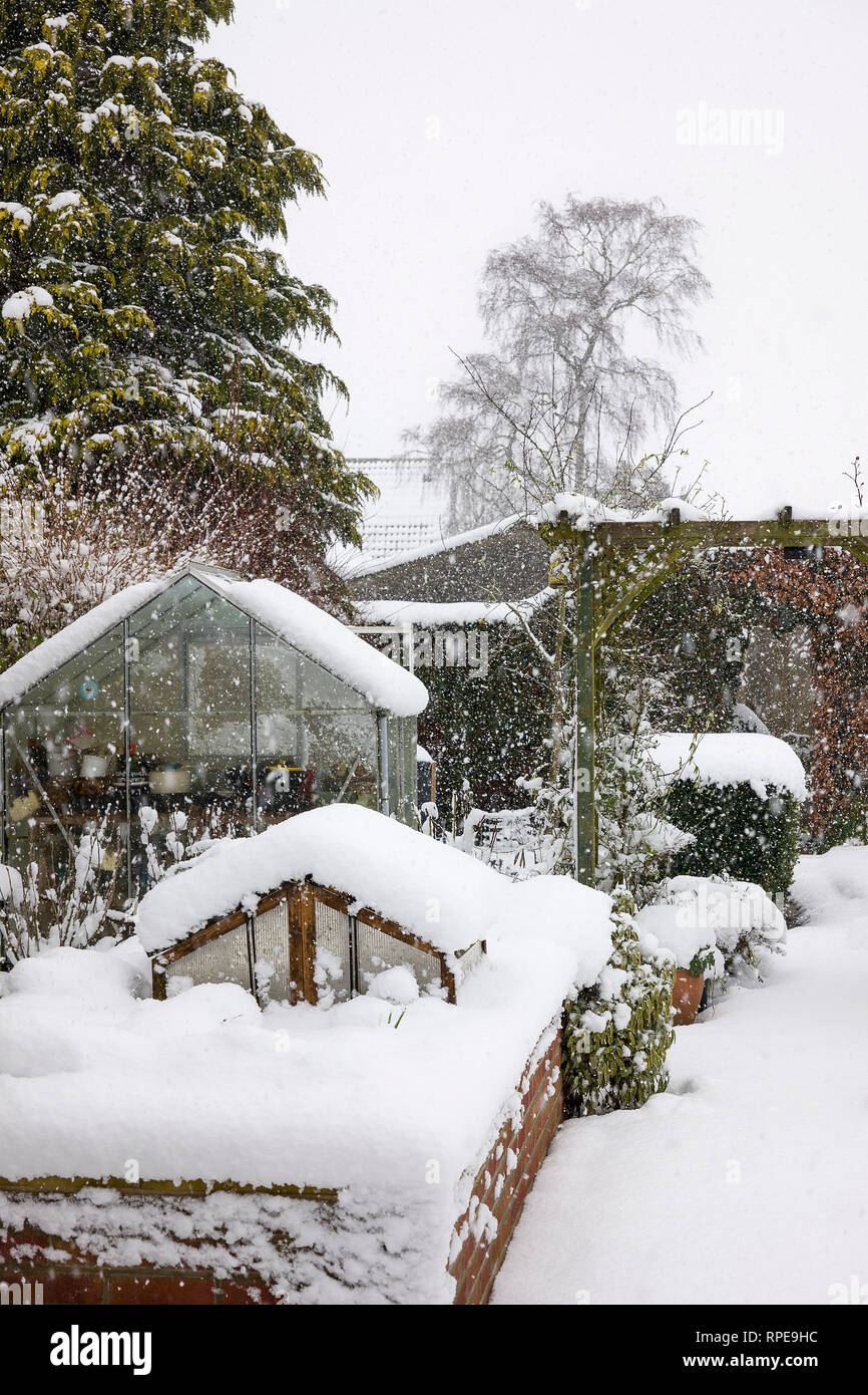 Chute de neige froide sur châssis d'étouffement du semoir relevé dans un jardin anglais en Février Banque D'Images