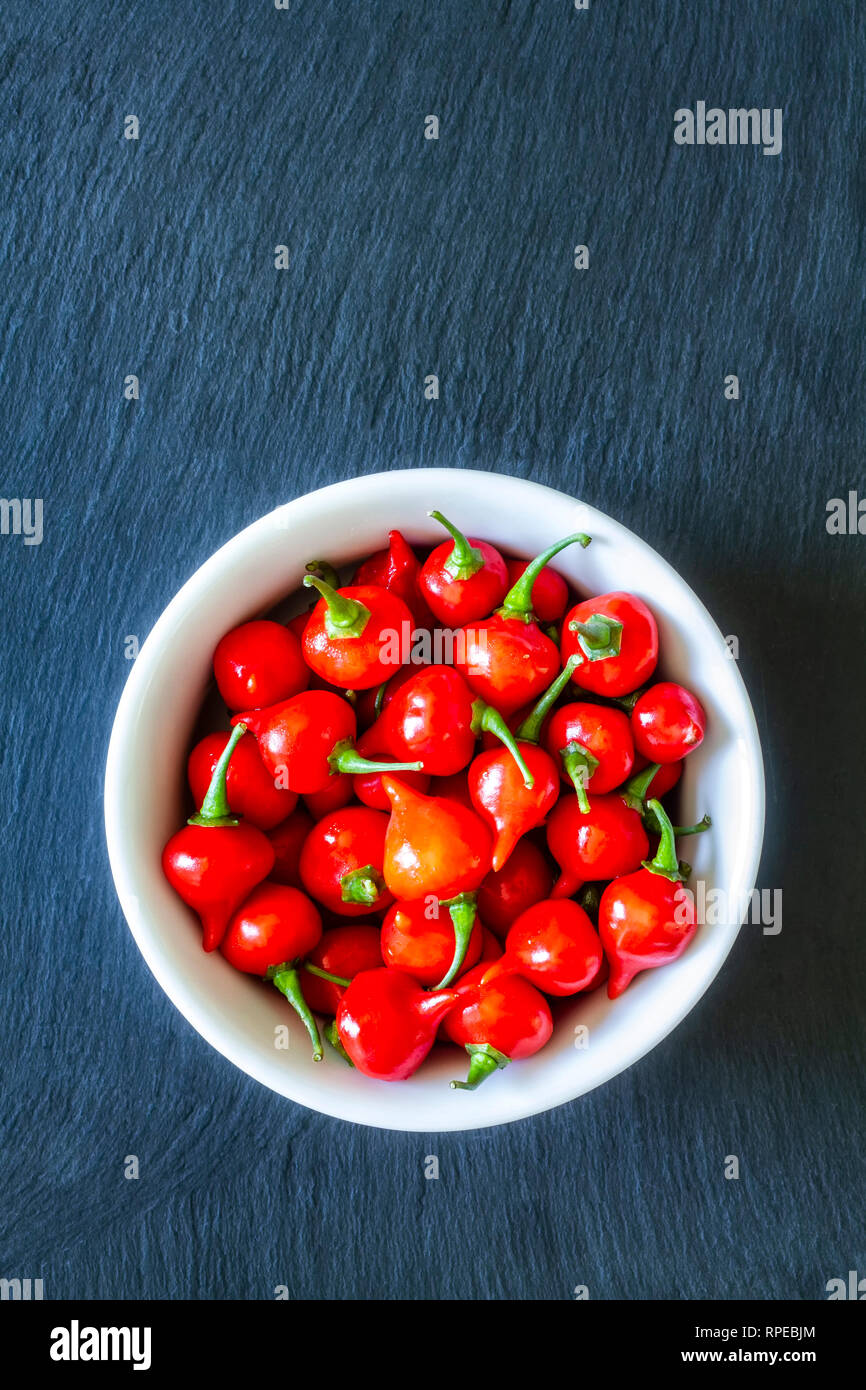 Piments rouges biquinho (Capsicum chinense) dans un bol blanc. Banque D'Images