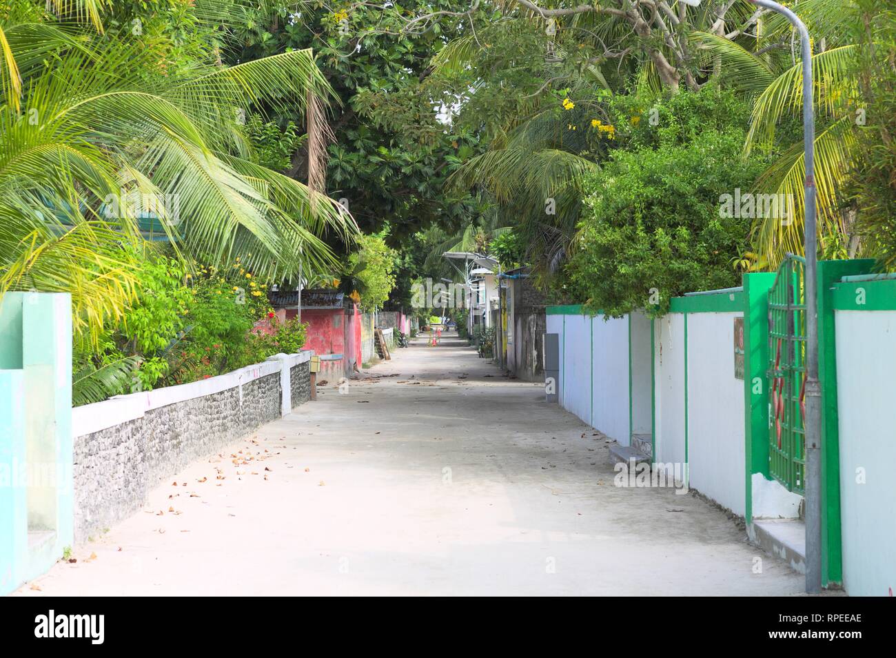 Une rue avec des bâtiments typiques des Maldives et des palmiers (Ari Atoll, Maldives) Banque D'Images