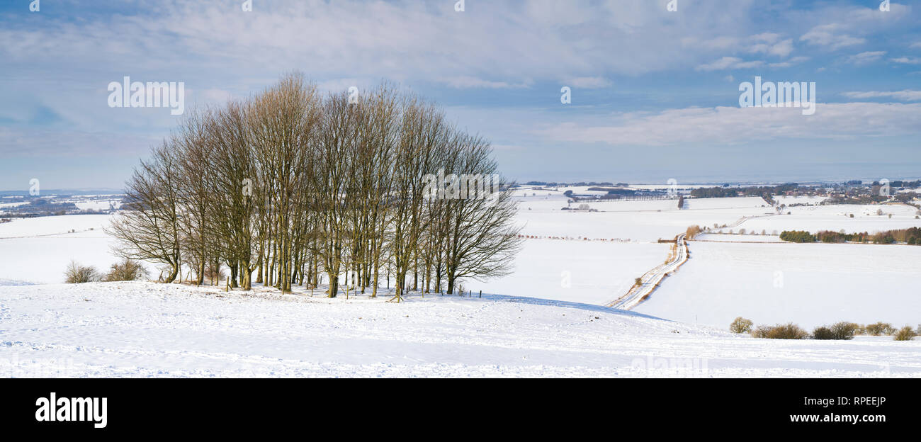 Paysage d'hiver enneigé de Hackpen Hill dans la campagne du Wiltshire. Vaste Hinton, Wiltshire, Angleterre. Vue panoramique Banque D'Images