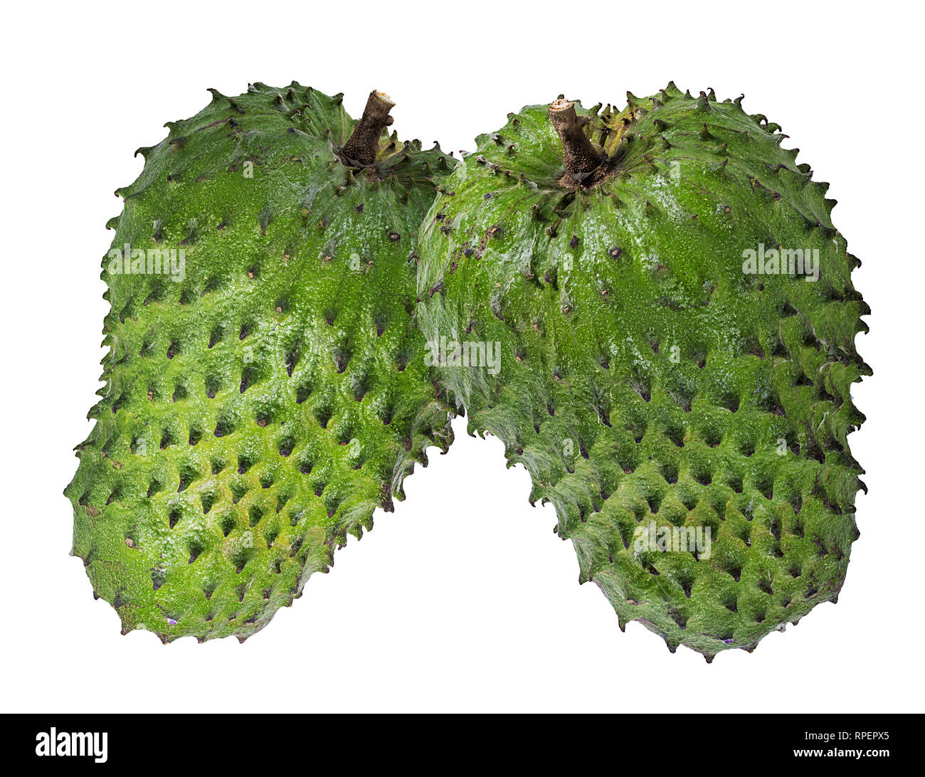 Annona muricata.oursop (sucre de fruits,Apple Apple ustard) isolé sur fond blanc Banque D'Images