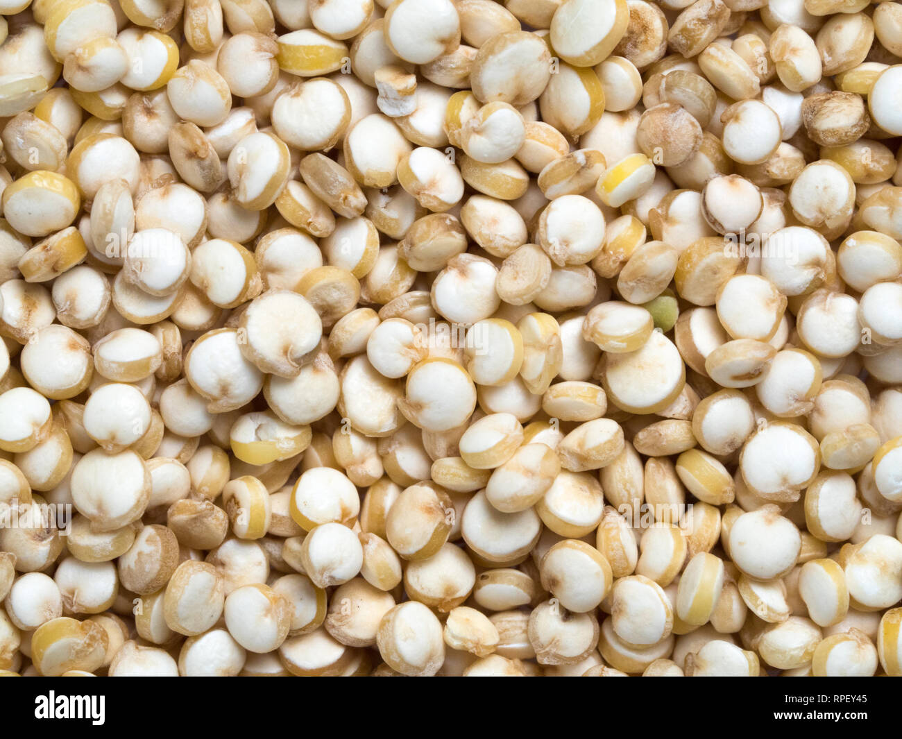 Grain de quinoa. Matières premières non cuit quinoa comme arrière-plan. La nourriture végétalienne saine notion et le motif Banque D'Images