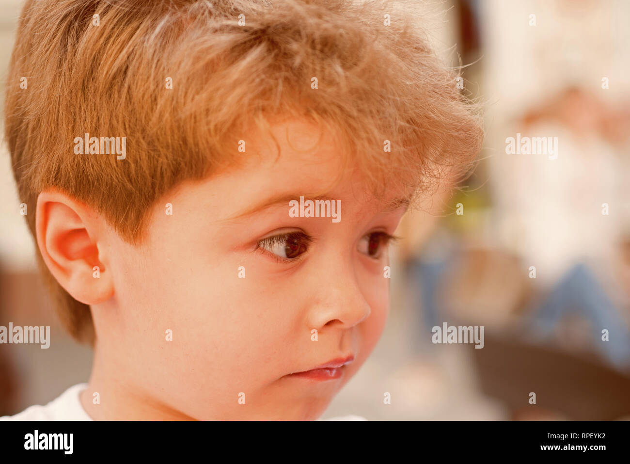 Les Cheveux De Votre Enfant A Besoin Petit Enfant Avec Coupe Elegante Petit Enfant Avec Coupe Courte Petit Garcon Aux Cheveux Blonds Des Cheveux En Bonne Sante Conseils Pour Les Enfants Photo Les Cheveux De Votre Enfant A Besoin Petit Enfant Avec Coupe Elegante Petit Enfant Avec Coupe Courte Petit Garcon Aux Cheveux Blonds Des Cheveux En Bonne Sante Conseils Pour Les Enfants Photo