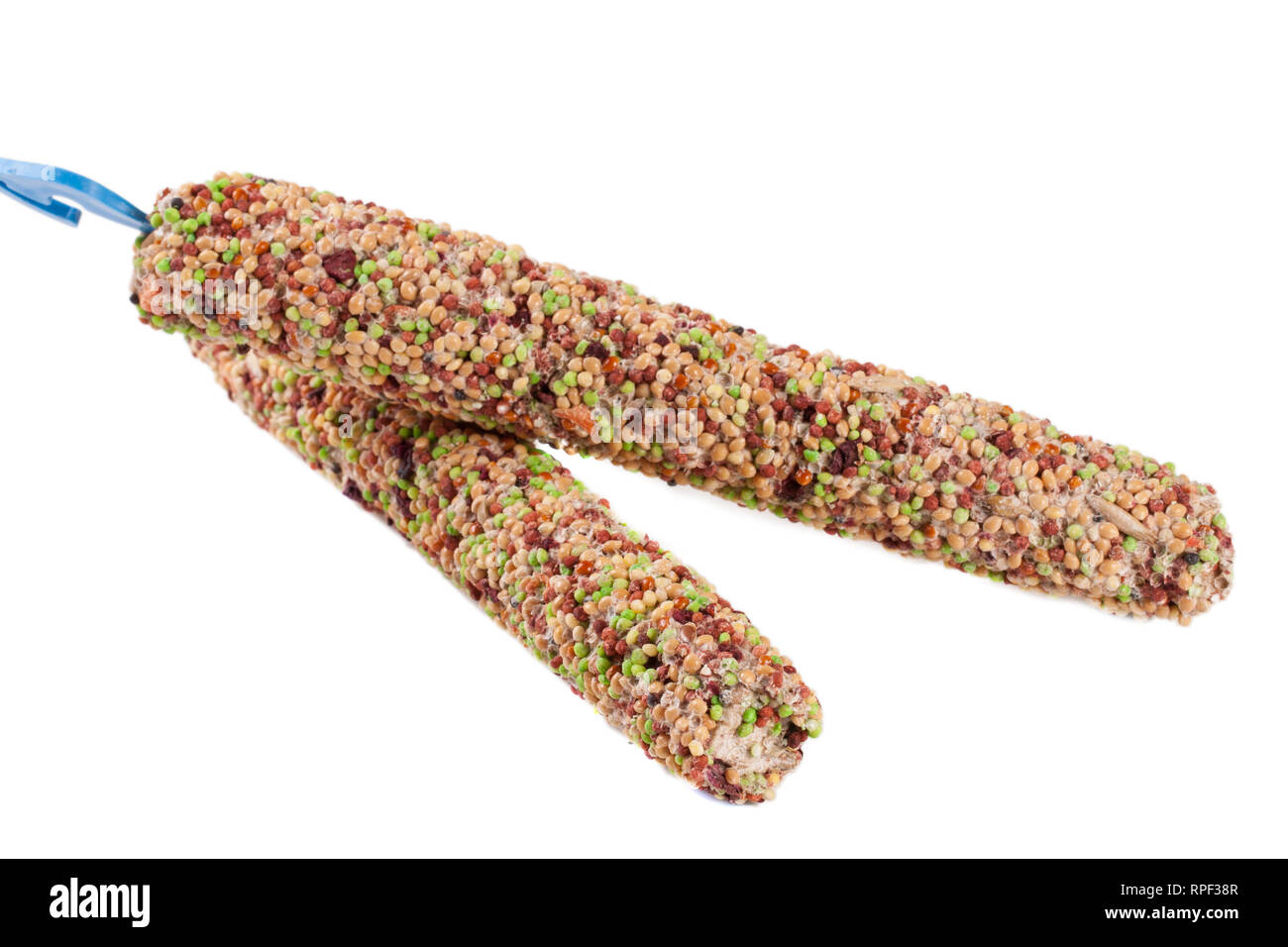 Nourriture pour perroquets sur un bâton isolé sur fond blanc Banque D'Images