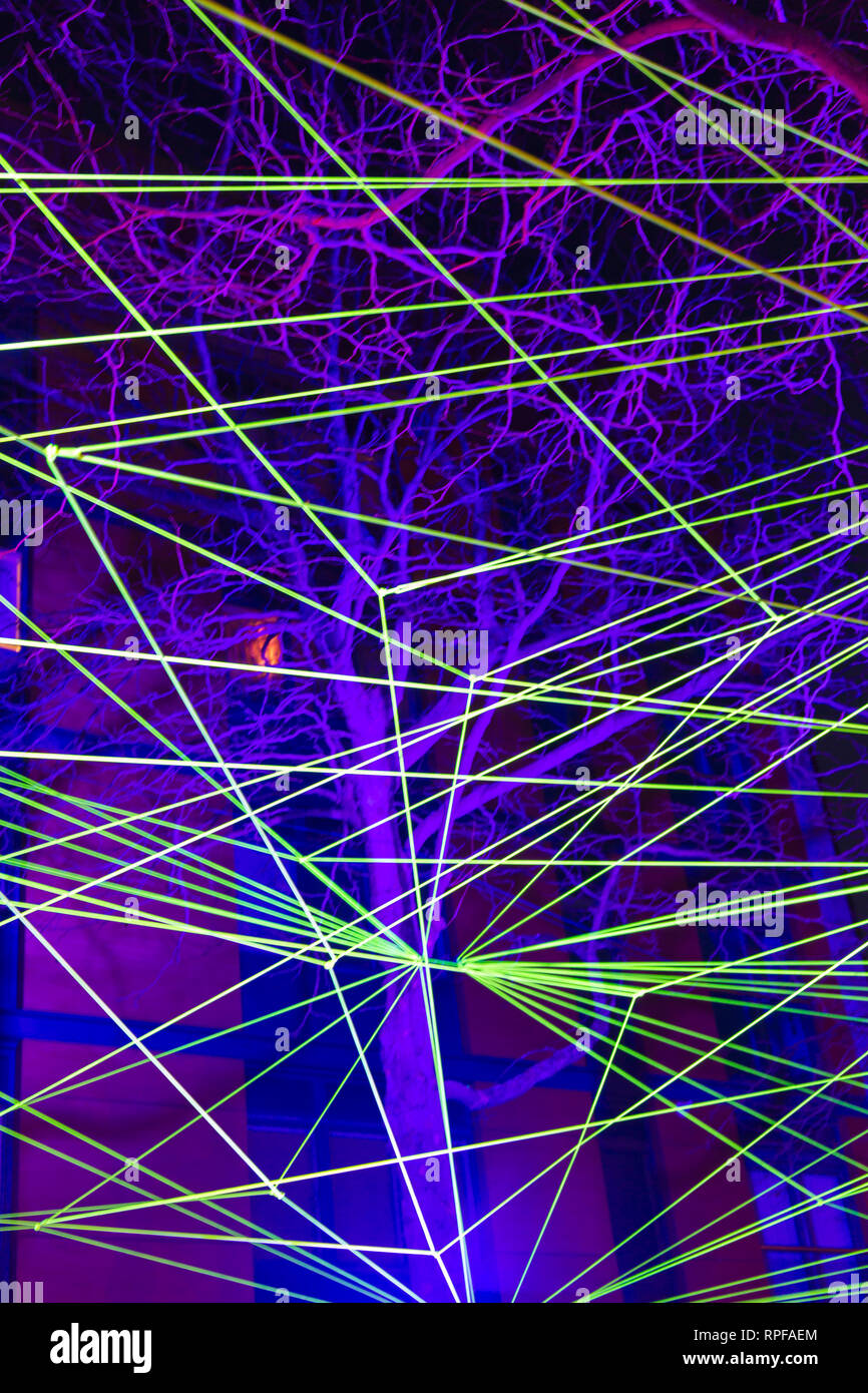 Poole, Dorset, UK. Feb 21, 2019. Light Up Poole. La tête aux visiteurs de faire l'expérience de la Poole lumière digital art festival qui se déroule dans divers endroits autour de Poole, d'éclairer, de-lumière et transformer le village. La nuit 3 festival présente le travail des artistes internationaux et émergents avec une série d'art de la lumière, des installations numériques et de participation. Rizoma par Tom et Lien Dekyvere une usine géante en tenant plus de la réflexion sur la société actuelle qui se confond avec la nature. Credit : Carolyn Jenkins/Alamy Live News Banque D'Images