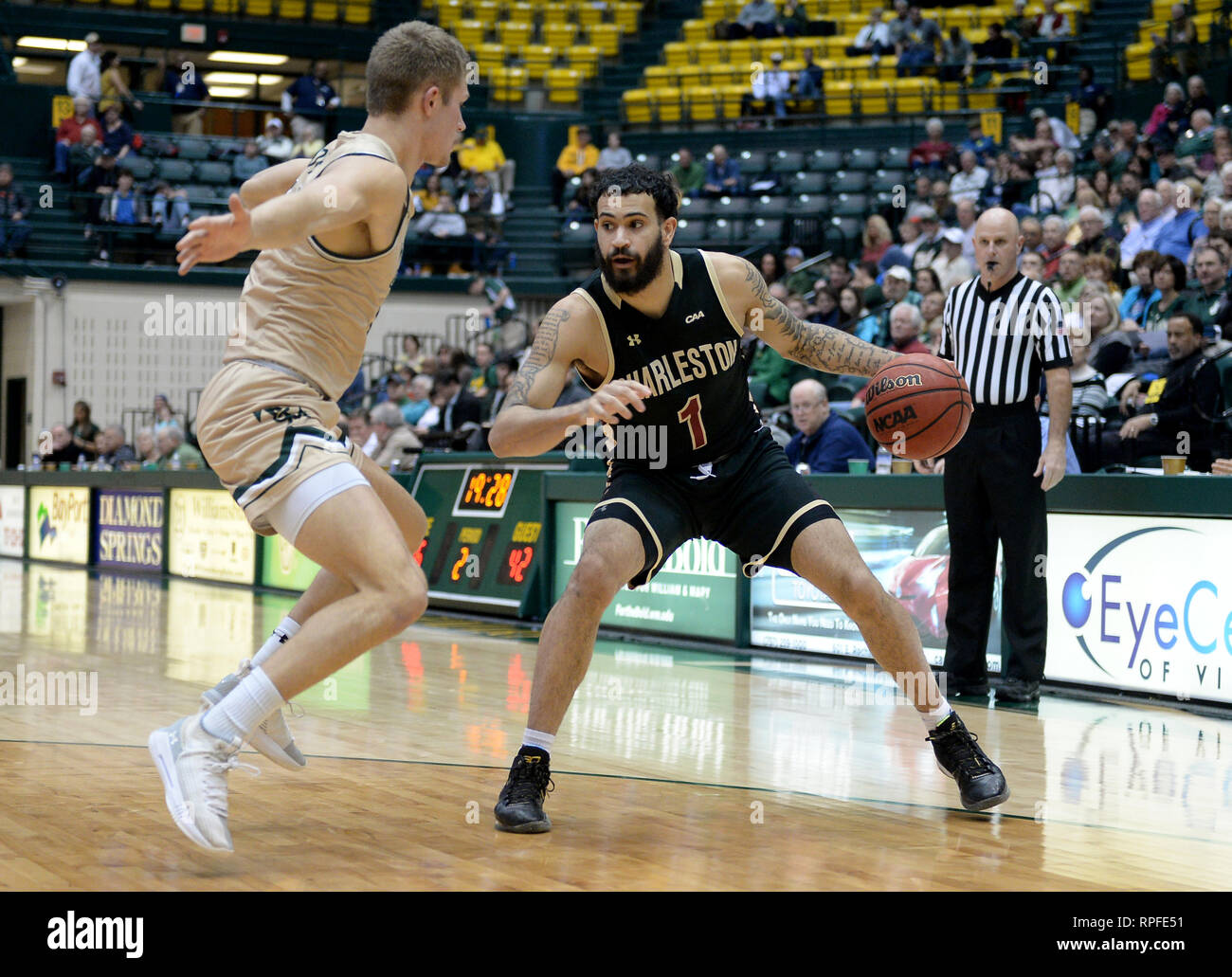 Williamsburg, VA, États-Unis d'Amérique. Feb 21, 2019. 20190221 - Charleston guard GRANT RILLER (1) DRIBBLE contre William et Mary guard LUC LOEWE (12) dans la seconde moitié à Kaplan Arena à Williamsburg, en Virginie Crédit : Chuck Myers/ZUMA/Alamy Fil Live News Banque D'Images