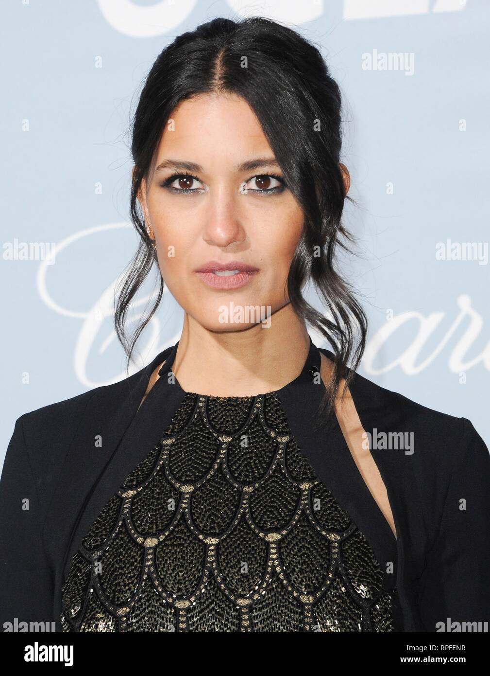 Los Angeles, CA, USA. Feb 21, 2019. Julia Jones à l'UCLA pour des arrivées pour Hollywood Gala Science, résidence privée, Los Angeles, CA, le 21 février 2019. Credit : Elizabeth Goodenough/Everett Collection/Alamy Live News Banque D'Images