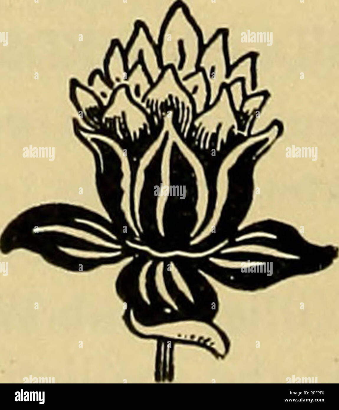 Enigma I Photos Enigma I Images Alamy