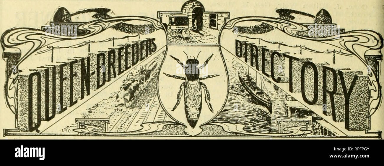 . L'American bee keeper. La culture de l'abeille ; le miel. Un demi-pouce d'espace une larme SUR CETTE PAGE, $3.00. W. J. DAVIS, l8t, YOUNGSVII.LE, PA., éleveur de reines abeilles italiennes choix et la qualité, pas la quantité, est ma devise. Les cueilleurs de miel DEWEY HARDY.- élevés dans des nuées d'impulse tout au long de l'année. Grand, fort, en bonne santé. Carte pour envoyer, 'Puis-je contrôler l'essaimage." d'origine. L'épreuve, 75c., 6 pour 5,00 $ ; l'essai, 1,50 $, 6 pour 5 $. Choix, 2,50 $. Éleveurs de haute qualité, 2 $ à 10 $. E. H. DEWEY, Gt. Barrington, Massachusetts QUEENS ICI.-Nous sommes toujours pour vous demander de nous donner votre commerce. Nous vendons des Italiens, Gol Banque D'Images