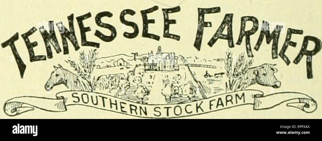 . L'American bee keeper. La culture de l'abeille ; le miel. KANSAS (.ITY, MO.. La seule strictement agricoles article publié dans cet État. Le seul papier agricole publié chaque semaine. Il va à tous les bureaux de poste dans la région de Tennessee et de nombreux bureaux à New York, Alabama, Géorgie, Mississippi, Tennessee, Texas, Floride et de la Louisiane. Il est l'organe officiel de la département agricole du Tennessee et Live Stock Commission. Souscription Loo $ par an à l'avance. Virginia Farmer Pnh. Co., Nasltville Tenii,.. Veuillez noter que ces images sont extraites de la page numérisée des images qui peuvent hav Banque D'Images