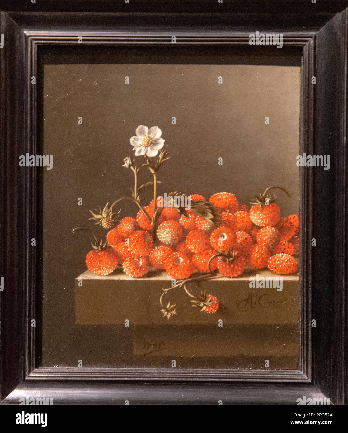 La vie toujours avec les fraises des bois par Adriaen Coorte peintre Banque D'Images La vie toujours avec les fraises des bois par Adriaen Coorte peintre Banque D'Images