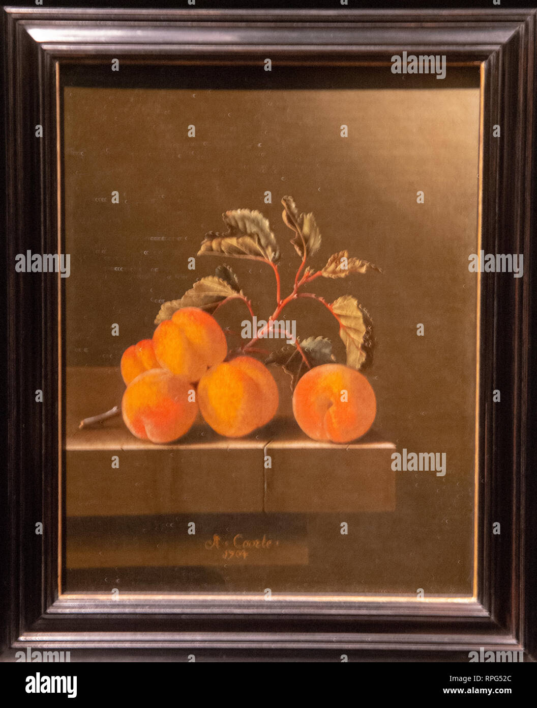 La vie toujours avec cinq abricots par Adriaen Coorte peintre Banque D'Images La vie toujours avec cinq abricots par Adriaen Coorte peintre Banque D'Images