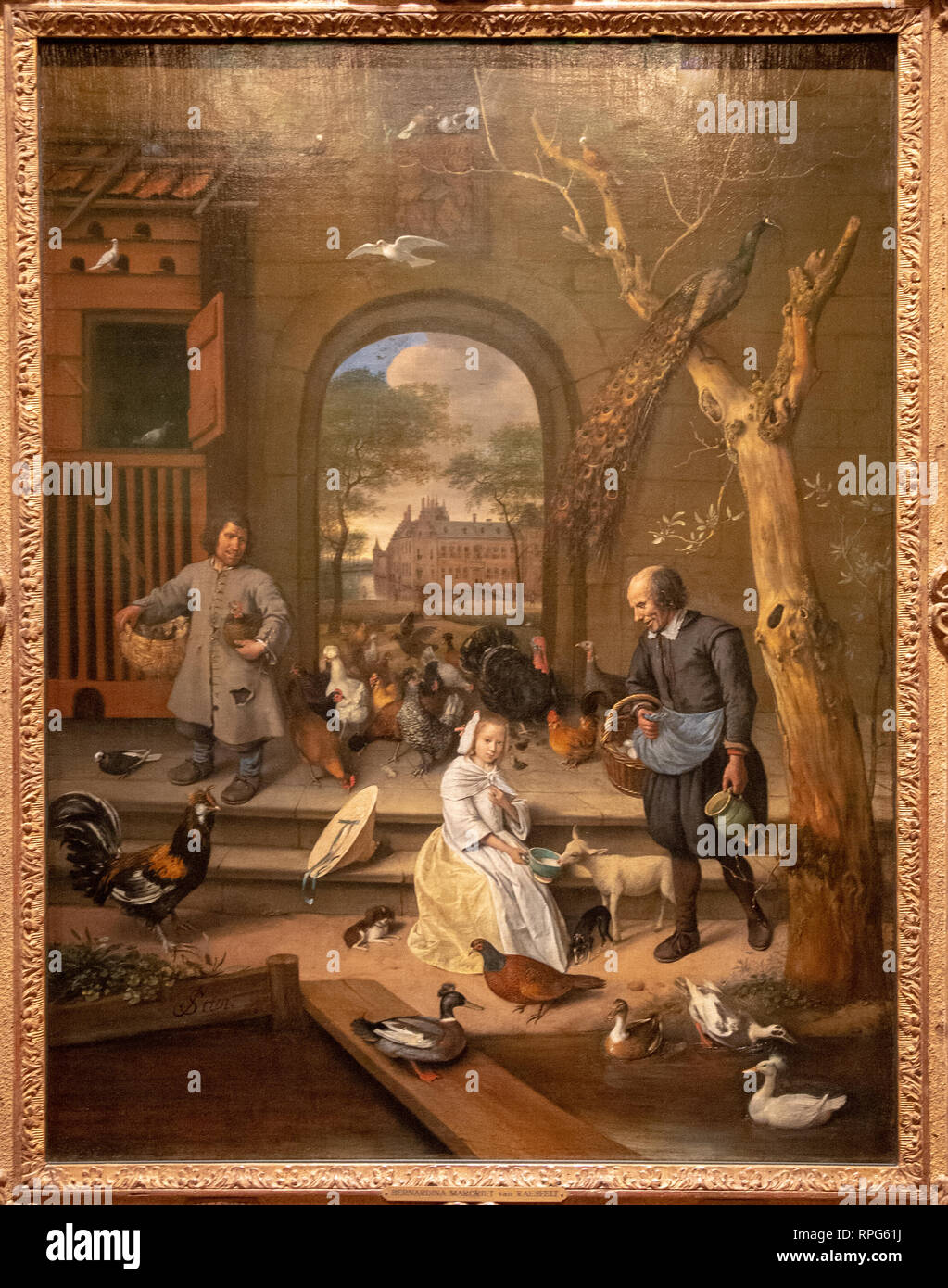 La cour de la volaille par le peintre Jan Steen Banque D'Images La cour de la volaille par le peintre Jan Steen Banque D'Images