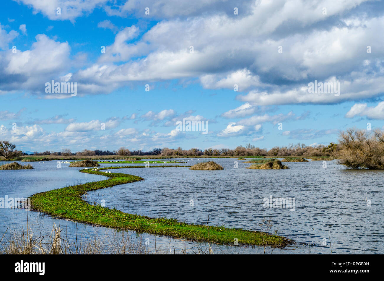 Les nuages et le paysage sur une belle journée à la San Luis National Wildlife Refuge dans la vallée centrale de Californie Banque D'Images