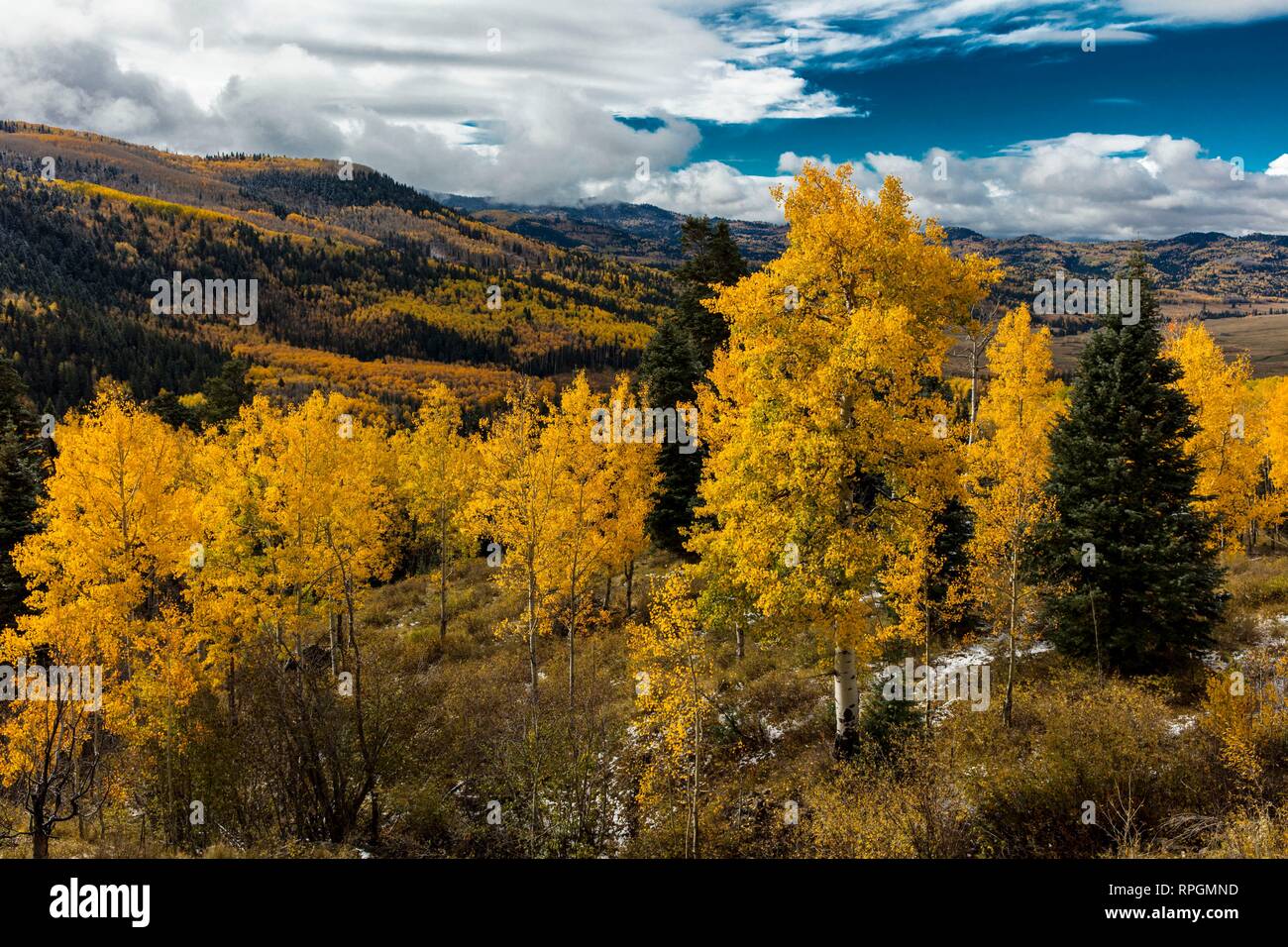 La couleur en automne dans le Colorado, Paysage Banque D'Images