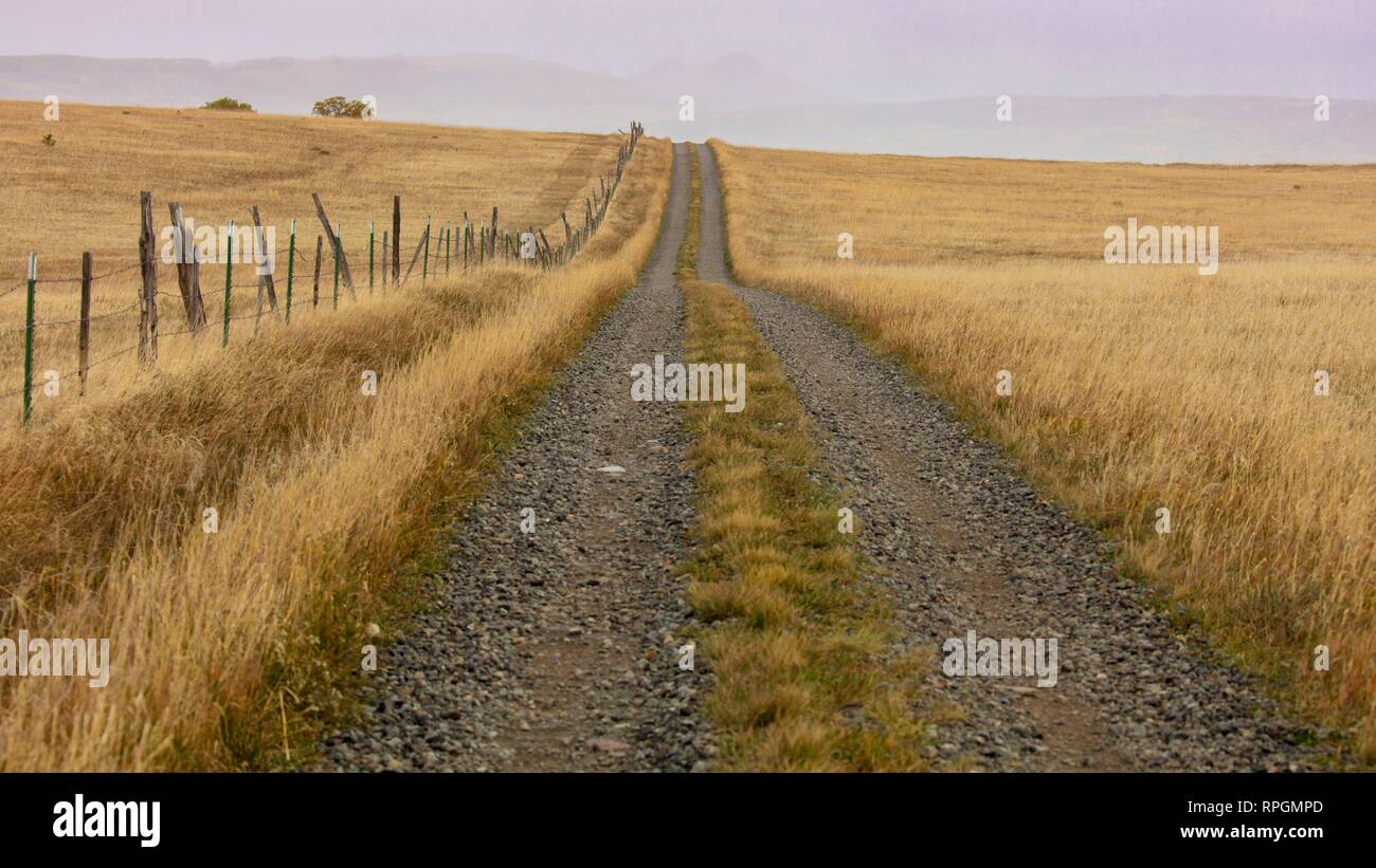 Route de terre sur Hastings Mesa mène au désert et les prairies, Colorado Ridgway Banque D'Images