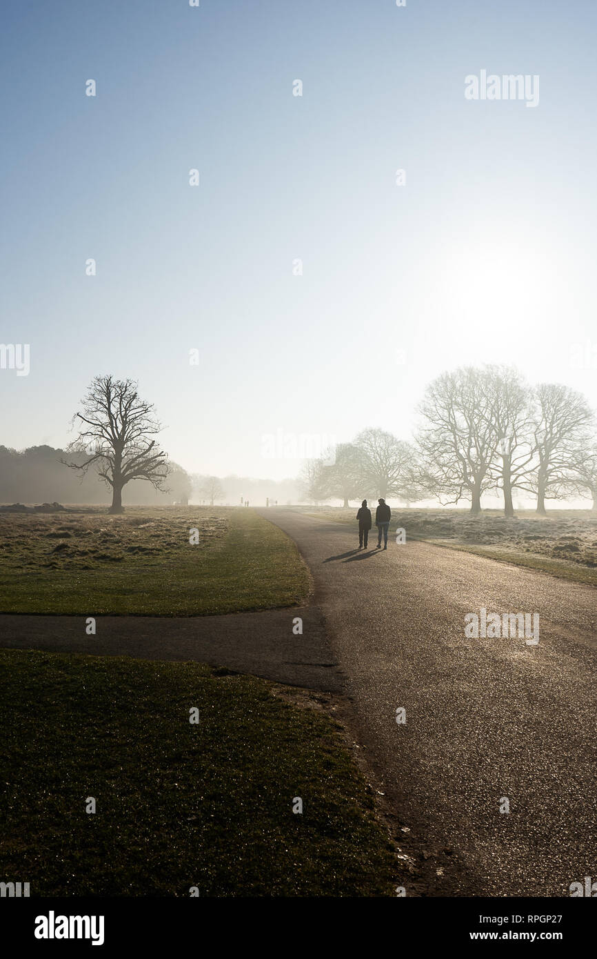 Deux marcheurs early misty morning walk à Royal Bushy Park, Hampton Court, Londres Banque D'Images