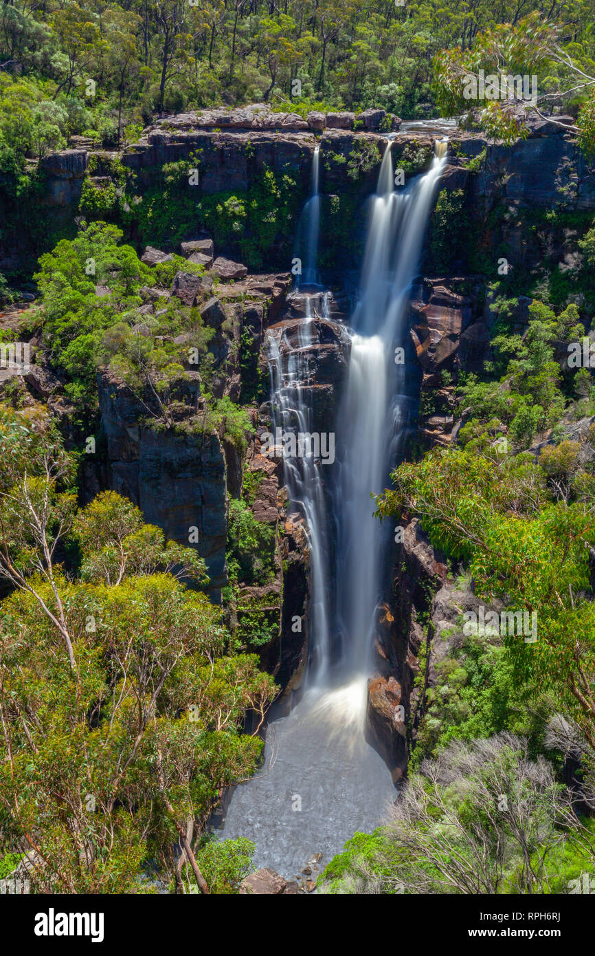 Carrington Falls sur la rivière de kangourou en Nouvelle Galles du Sud, Australie Banque D'Images