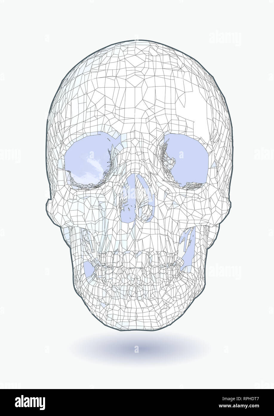 Crâne stylisé avec bord dessin polygonal isolé sur fond blanc Banque D'Images Crâne stylisé avec bord dessin polygonal isolé sur fond blanc Banque D'Images