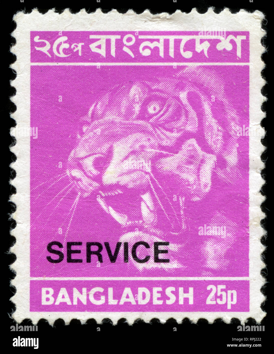 Timbre-poste du Bangladesh dans les images en provenance du Bangladesh série émise en 1974 Banque D'Images