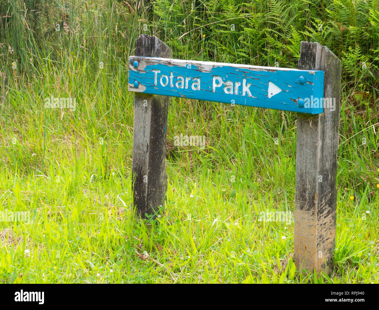 Totara Park signe sur une piste de randonnée Banque D'Images