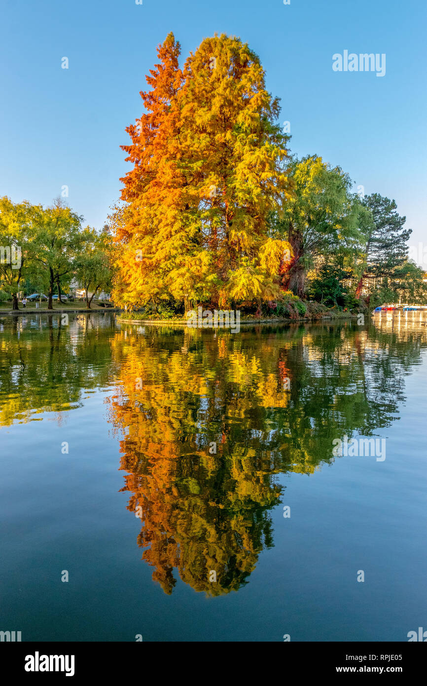 Dans le lac de Chios Cluj-Napoca Central Park sur une belle journée ensoleillée d'automne en Roumanie Banque D'Images