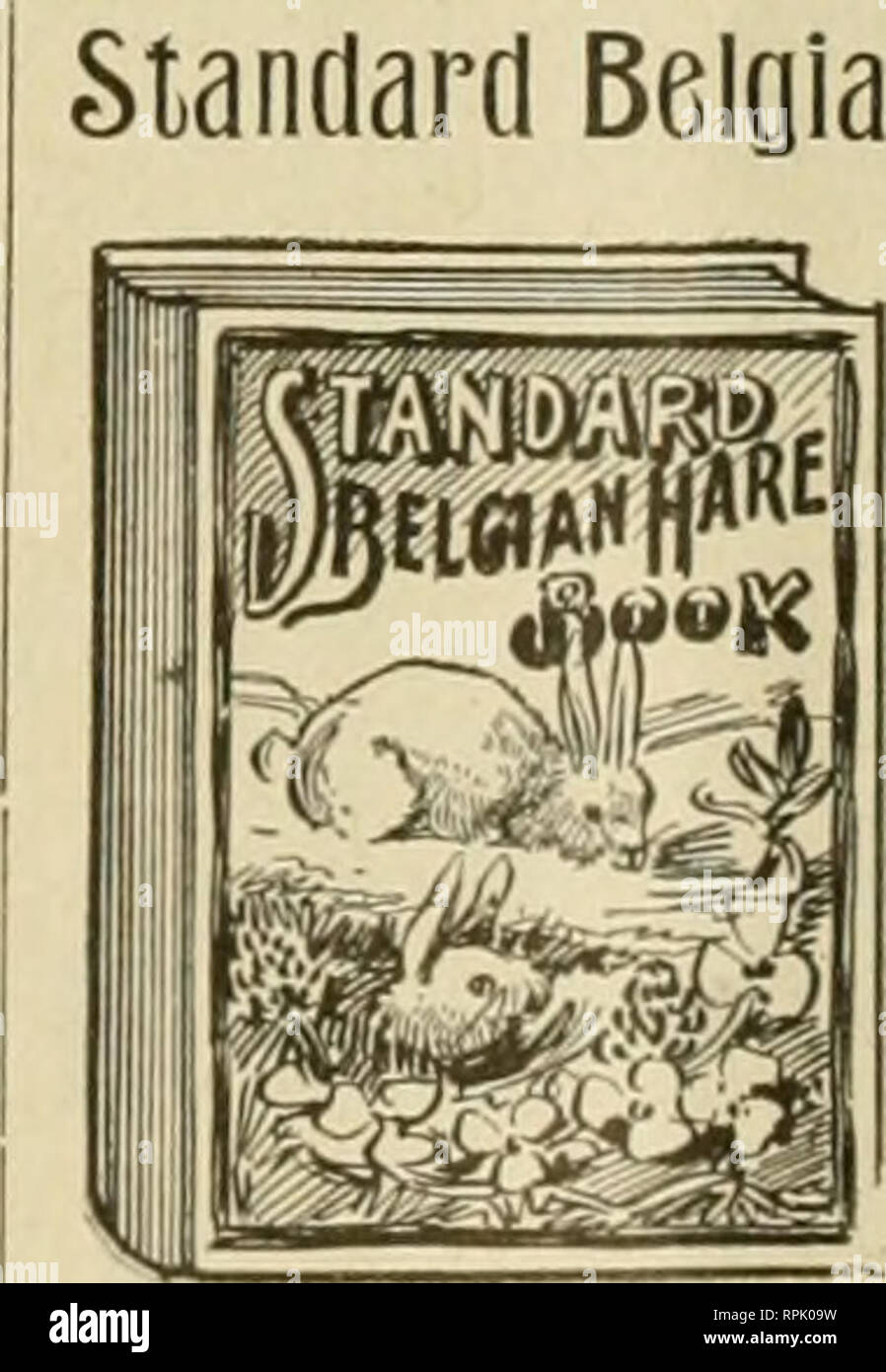 . American Bee Journal. La culture de l'abeille ; les abeilles. Le 1 août 1901. AMERICAN BEE JOURNAL 489 ^ J Le Cercle d'accueil. ^ | Réalisé par Frof. ft. J. Cook, Glaremont, Californie le bébé. Quelle est la réflexion sur l'un peu ;. Thinjrs très merveilleuse, sans doute. Pourtant, il rit et pleure, et mange et boit. Et ohuekles et corbeaux, et hoche la tête et comme si sa tête winks étaient si plein de vrilles et d'énigmes que les sphinx curieux ! Voilé par les coliques et humide par les larmes. Perforée par les broches, et torturé par des peurs, notre petit neveu va perdre deux ans ; et il ne sait jamais où les étés. Il faut pas rire pour qu'il trouve si ! Banque D'Images