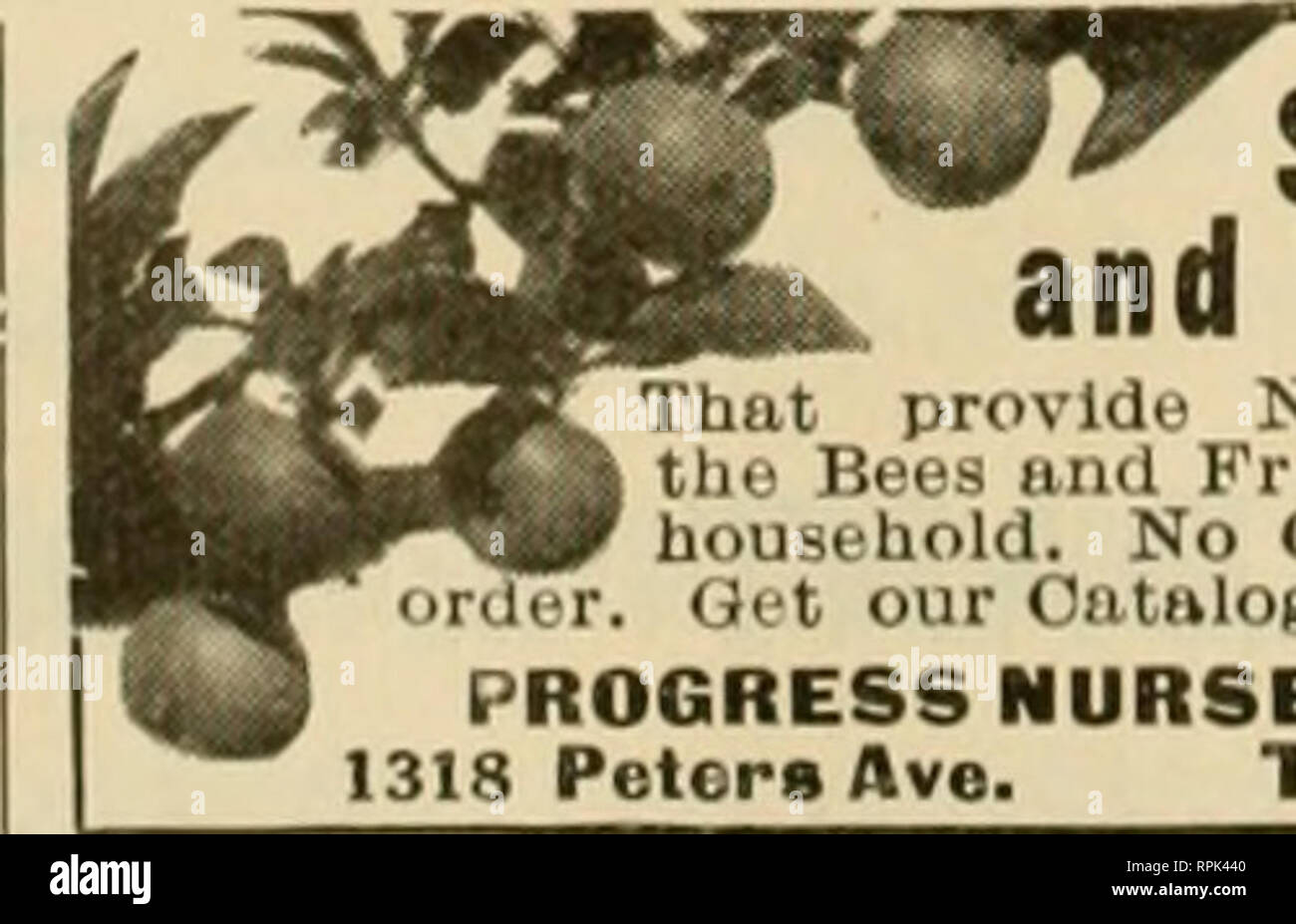 . American Bee Journal. La culture de l'abeille ; les abeilles. Monsieur l'Apiculteur Nous avons une grande usine spécialement équipée pour fabriquer le sup- ply que vous utilisez. Nous garantissons tous les matériaux et de fabrication. Nous livrons n'importe où. Nous autorisons l'ordre tôt remises et faire des expéditions. invite Écrire gratuitement catalogue illustré aujourd'hui LEAHY MFG. CO., 90, 6e Rue, Higginsville, Missouri J. W. ROUSE, Mexique, Puerto Rico A. M. HUNT, Texas, Utah-Goldthwaite PRODUITES QUEENS Quarante-neuf ans d'expérience dans Queen-Rearing Three-Band Race italiens seulement à J Isi Nov jne 1er juin à l'ist Nov . Isi 1 612 1 612 2,00 $ 2 Reines non testés Banque D'Images