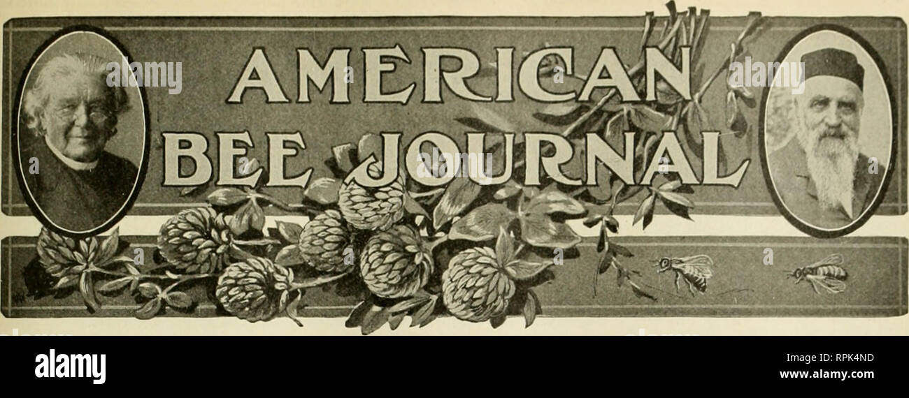 . American Bee Journal. La culture de l'abeille ; les abeilles. Vol. LVll.-No. 1 HAMILTON, ill., janvier 1917, mensuel, 1,00 $ PAR AN SOIXANTE-DIX ANS DE L'APICULTURE La première d'une série d'articles par l'éditeur, d'examiner le développement de l'Apiculture Depuis 1845 Pour revenir en arrière de 70 ans et voir le monde physique et scientifique les progrès accomplis depuis lors, signifie probablement plus que n'importe qui d'entre nous peut se rendre compte à la première pensée. Mais il est seulement nécessaire d'ouvrir un livre imprimé, même un roman, datant de 70 ans ou plus pour apprécier les changements physiques extraordinaires de conditions. La plupart des histoires de Dickens, par exemple, Banque D'Images